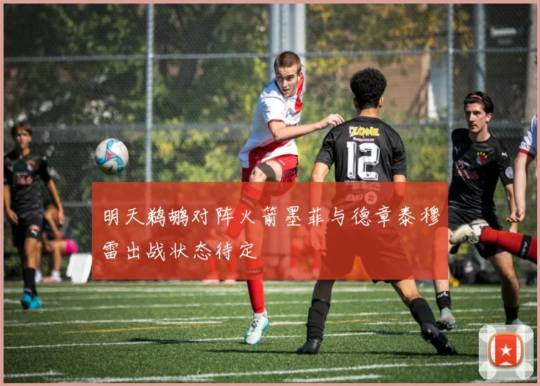 明天鹈鹕对阵火箭墨菲与德章泰穆雷出战状态待定